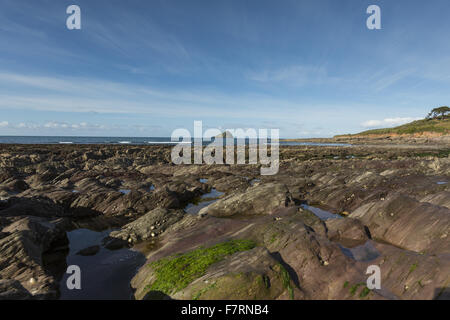 Wembury, Devon. Wembury ist ein toller Strand mit einigen der besten Rock-Pools im Land. Stockfoto