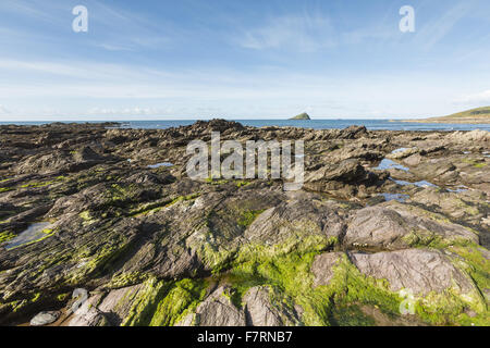 Wembury, Devon. Wembury ist ein toller Strand mit einigen der besten Rock-Pools im Land. Stockfoto