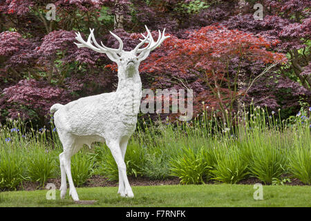 Der weiße Hirsch am Mount Stewart, County Down. Mount Stewart ist einer der Top zehn Gärten der Welt gewählt worden und spiegelt das Design und die Kunst seines Schöpfers, Edith, Lady Londonderry. Stockfoto