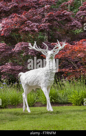 Der weiße Hirsch am Mount Stewart, County Down. Mount Stewart ist einer der Top zehn Gärten der Welt gewählt worden und spiegelt das Design und die Kunst seines Schöpfers, Edith, Lady Londonderry. Stockfoto