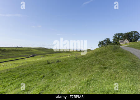 Der Hadrianswall und Housesteads Fort, Northumberland. Dies ist einer der am besten gepflegten Vorposten des römischen Reiches im Norden Europas. Stockfoto