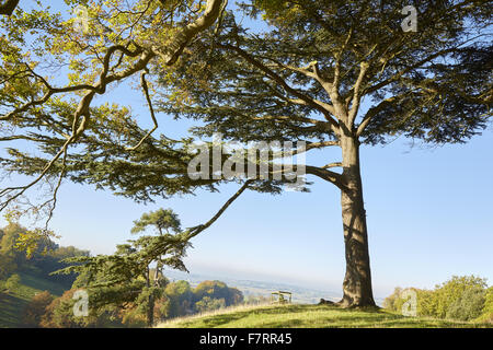 Dyrham Park, Gloucestershire. Dyrham ist ein 17. Jahrhundert von einem 270 Hektar großen Park umgeben. Stockfoto