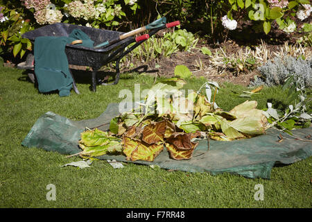 Gartenarbeit im Dyrham Park, Gloucestershire. Dyrham ist ein 17. Jahrhundert von einem 270 Hektar großen Park umgeben. Stockfoto