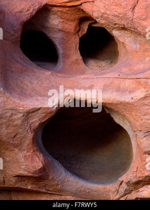 Felsformation, die wie ein Gesicht aussieht. Valley of Fire State Park, Nevada Stockfoto