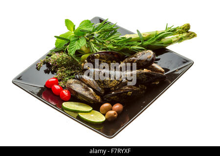 Wilde Muschel-Makro-Studio-Shooting Stockfoto