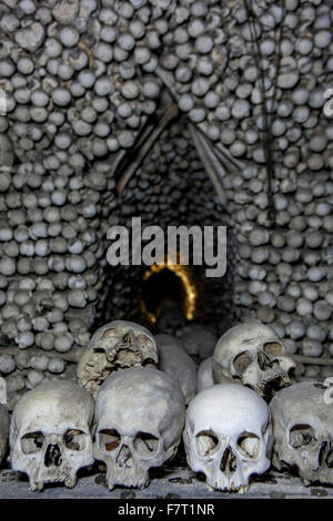 Schädel in Sedlec Ossuary, Kutna Hora Tschechische Republik Stockfoto