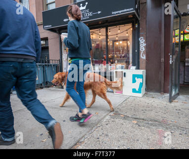 Tierbesitzer mit ihrem Hund geht den Hund Parker Zwinger außerhalb der Fort Greene Gemischtwarenladen in Brooklyn in New York auf Samstag, 28. November 2015. Der Zwinger, welche Kosten von der ersten Minute oder Stunde, ermöglicht es Ihnen, Ihren vierbeinigen Begleiter zu parken, während Sie Besorgungen oder Brunch mit Freunden in Orten, in denen Hunde nicht. Bisher gibt es zwei Zwingern in Fort Greene, Brooklyn mit Expansionspläne. (© Richard B. Levine) Stockfoto