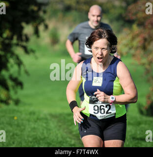 Pattingham Glocken laufen 2015 in der Nähe der Ziellinie der 7 Mile cross Country Lauf statt in Pattingham, Codsall, Staffordshire, UK Stockfoto