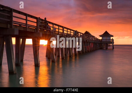 Sonnenuntergang über dem Pier und den Golf von Mexiko, Naples, Florida, USA Stockfoto