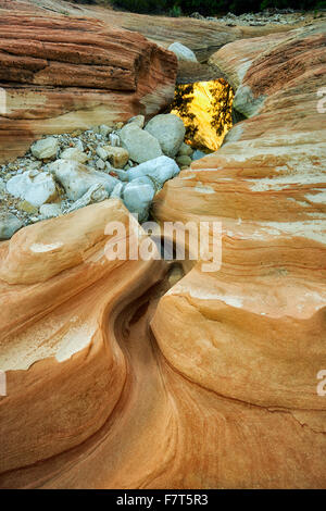 Sandstein-Felsformation mit Lache des Wassers sich Berge spiegeln. Zion Nationalpark, Utah Stockfoto