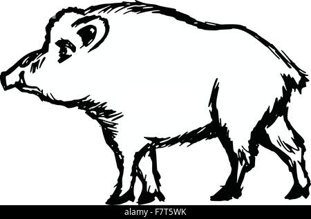 Wildschwein Stock Vektor
