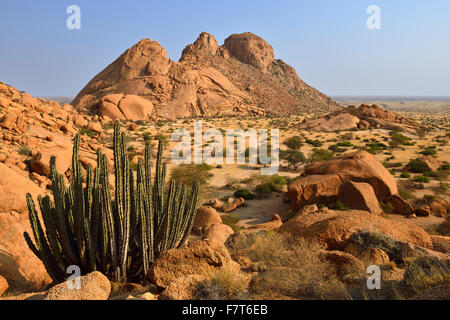 Blick auf Zuckerhut in der Nähe von Spitzkoppe, Grootspitzkop, Provinz Erongo, Namibia Stockfoto