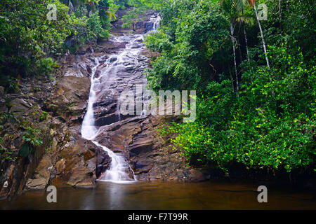 Sauzier Wasserfall in Port Glaud, Insel Mahe, Seychellen Stockfoto