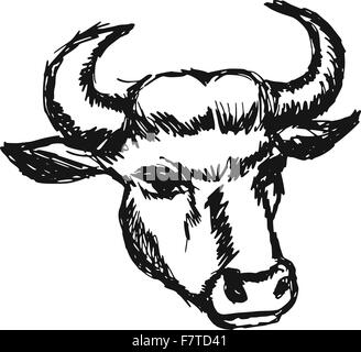 Kopf der Kuh Stock Vektor