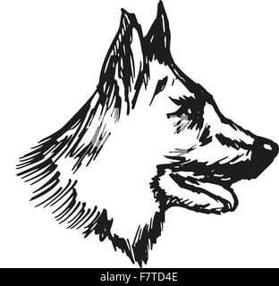 Deutscher Schäferhund Stock Vektor