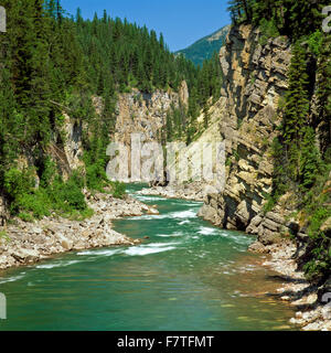 Wilder und landschaftlich reizvoller Südgabel Flathead River in einem Canyon über dem Hungry Horse Reservoir im Nordwesten von montana Stockfoto