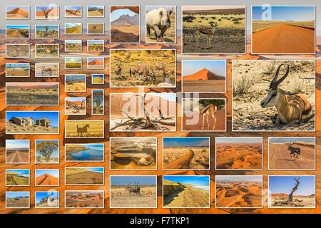 Namibia-Wüste-collage Stockfoto
