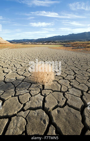 Cachuma Lake, Kalifornien, USA. 2. Dezember 2015. Tumbleweed weht über die trockenen Seebett Cachuma Stausee im kalifornischen Santa Ynez Valley. Während die schwere Dürre in Kalifornien für eine vierte gerade weiter erreichen Jahr, Wasserstände in Seen und Stauseen des Landes historischen Tiefstand. Cachuma Lake, die primäre Quelle für Trinkwasser für etwa ein Viertel der 1 Million Einwohner auf der Central Coast, war 14 Prozent seiner Kapazität ab 2. Dezember 2015. (Scott London/Alamy Live-Nachrichten) Stockfoto