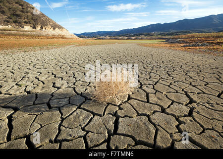 Cachuma Lake, Kalifornien, USA. 2. Dezember 2015. Tumbleweed weht über die trockenen Seebett Cachuma Stausee im kalifornischen Santa Ynez Valley. Während die schwere Dürre in Kalifornien für eine vierte gerade weiter erreichen Jahr, Wasserstände in Seen und Stauseen des Landes historischen Tiefstand. Cachuma Lake, die primäre Quelle für Trinkwasser für etwa ein Viertel der 1 Million Einwohner auf der Central Coast, war 14 Prozent seiner Kapazität ab 2. Dezember 2015. (Scott London/Alamy Live-Nachrichten) Stockfoto