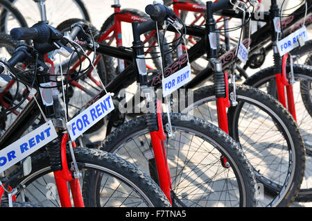 Fahrräder, die aufgereiht und bereit zu vermieten Stockfoto