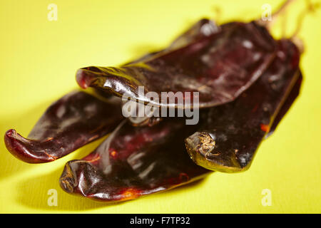 Ganze, getrocknete Guajillo Paprika aus Mexiko Stockfoto