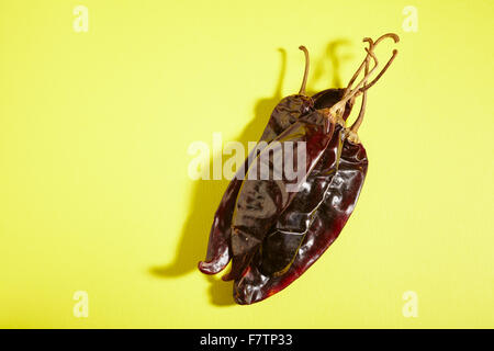 Ganze, getrocknete Guajillo Paprika aus Mexiko Stockfoto