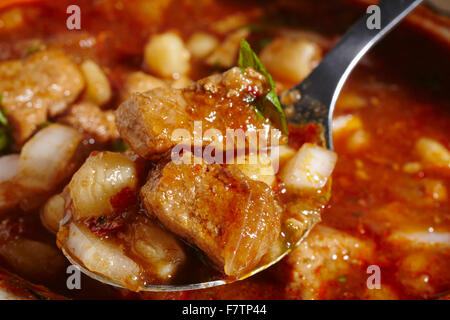 Posole, mexikanische Schweinefleisch und Maismehl-Eintopf. Ein Weihnachts-Favorit. Stockfoto