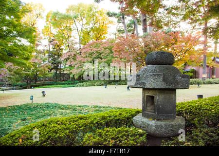 Herbstfarben, Otaguro Park, Suginami-Ku, Tokyo, Japan Stockfoto