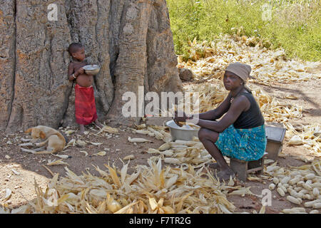 Scheuen Frau dem Mais zu entfernen, während Tochter isst Brei, Koutammakou, "Land der Batammariba," Togo Stockfoto