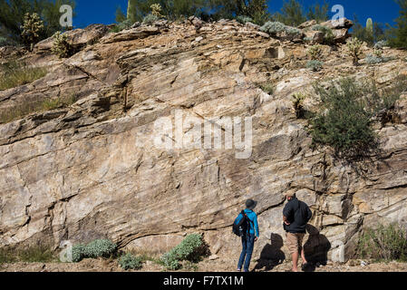 Geologen studieren Felsen am Mount Lemmon, Tucson, Arizona, USA. Stockfoto