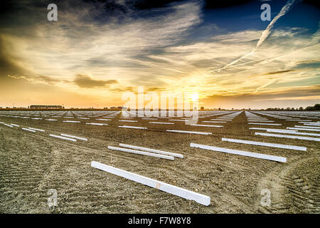 Effizienz und Effektivität in der modernen Landwirtschaft, geometrischen Mustern der Querstangen für die neue Ernte Felder unter einen Sommer Sonnenuntergang in Italien Stockfoto