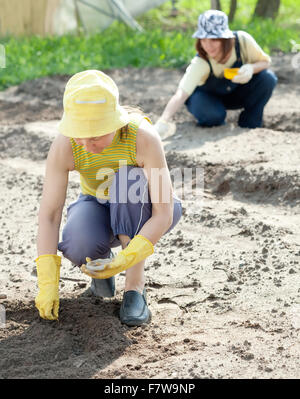 Zwei Frauen sät Samen im Boden im Garten Stockfoto