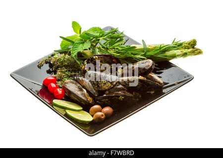 Wilde Muschel-Makro-Studio-Shooting Stockfoto