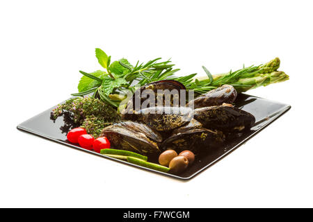 Wilde Muschel-Makro-Studio-Shooting Stockfoto