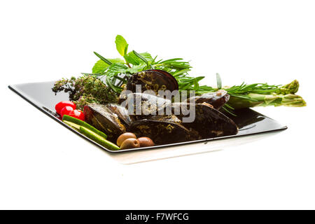 Wilde Muschel-Makro-Studio-Shooting Stockfoto