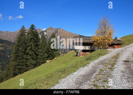 Ländliches Herbst Motiv in der Nähe von Gstaad Stockfoto