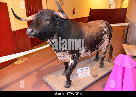 Stier-Statue in Las Ventas, Madrid, Spanien Stockfoto