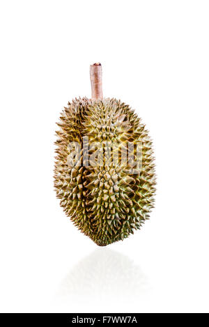 Thailändischen durian tropische Früchte auf weißem Hintergrund Stockfoto