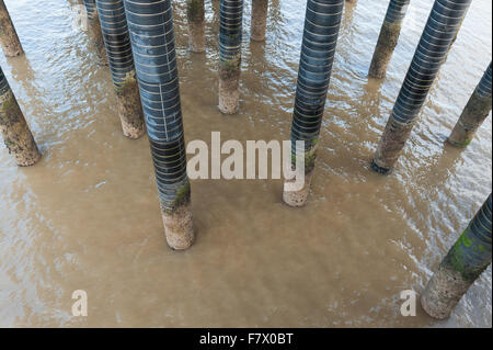 Cromer Pier in Cromer an der Küste von Norfolk, England. Stockfoto