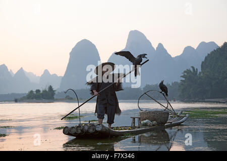 Kormoran Fischer am Fluss Li Guilin Region Guangxi, China LA008353 Stockfoto