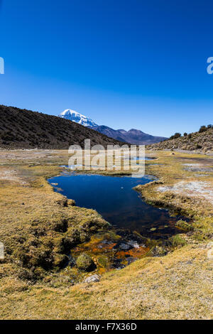 Anden Geysire. Junthuma-Geysire, durch geothermische Aktivität gebildet. Bolivien. Die Thermalbecken ermöglichen eine gesunde und heilende Bad f Stockfoto