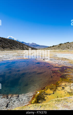 Anden Geysire. Junthuma-Geysire, durch geothermische Aktivität gebildet. Bolivien. Die Thermalbecken ermöglichen eine gesunde und heilende Bad f Stockfoto