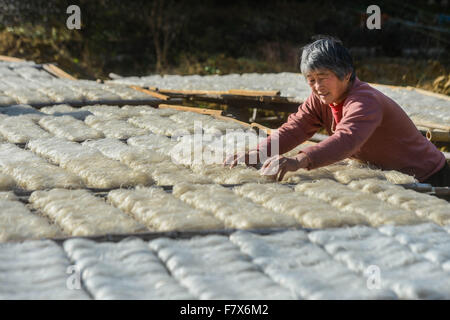 Huzhou, China Zhejiang Provinz. 3. Dezember 2015. Ein Dorfbewohner trocknet Sweet Potato Starch Nudeln in Huzhou, Ost-China Zhejiang Provinz, 3. Dezember 2015. Dorfbewohner haben eine Tradition der Trocknung Sweet Potato Starch Nudeln und Fisch während der Erntezeit im Dezember. © Xu Yu/Xinhua/Alamy Live-Nachrichten Stockfoto