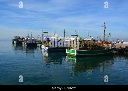 Angelboote/Fischerboote am Hafen in Kalk Bay / Südafrika Stockfoto