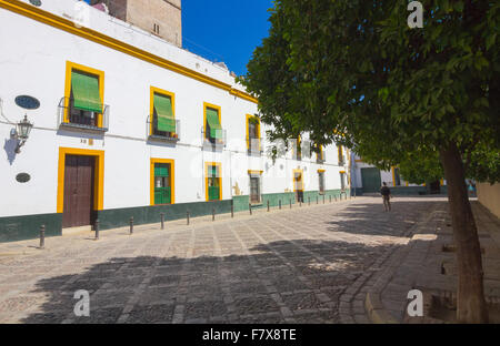 leuchtende Quadrat mit typischen weißen Häuser von Sevilla, Spanien Stockfoto