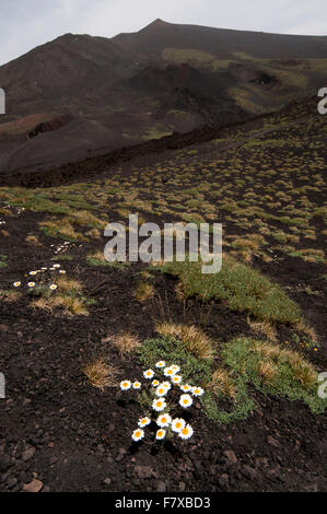 Eine größere Eruption im Jahr 2001 verließ diese Lava und Krater auf dem aktivsten Vulkan Europas, dem Ätna in Sizilien. Stockfoto