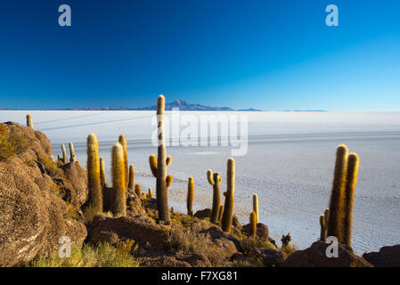 Weitwinkel-Blick auf die Uyuni Salz flach, unter das wichtigste Reiseziel in Bolivien. Schuss getroffen bei Sonnenaufgang aus dem s Stockfoto