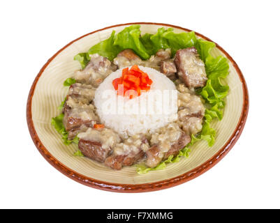 Reis und Schweinefleisch im japanischen Stil Stockfoto