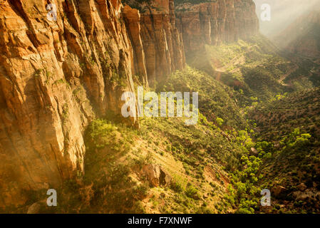 Blick auf neue Bäume und Straße bei Sonnenuntergang vom Canyon Overlook. Zion Nationalpark, Utah Stockfoto