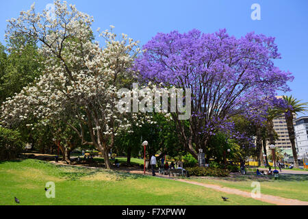 Zoo Park in der Innenstadt von Windhoek, Namibia Stockfoto